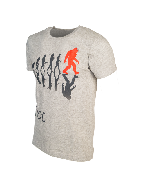 T-shirt Evolution grigia